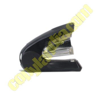 IMG 8377 1 (Sin fondo)